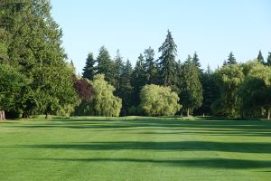 Shaughnessy 5th Fairway